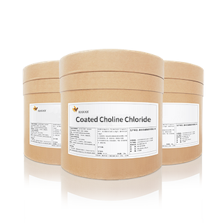 Coated Choline Chloride
